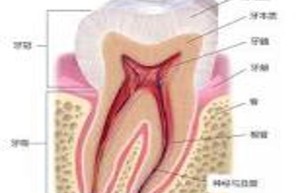 牙疼背后的乌云密布：揭秘牙疼的五大原因，让你不再受苦