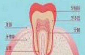 牙疼的痛苦：深入解析牙疼的症状与原因