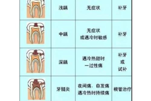 牙齿健康新知了解牙疼的最新研究成果